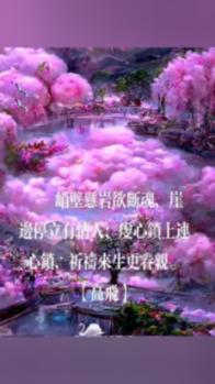 侍忍者